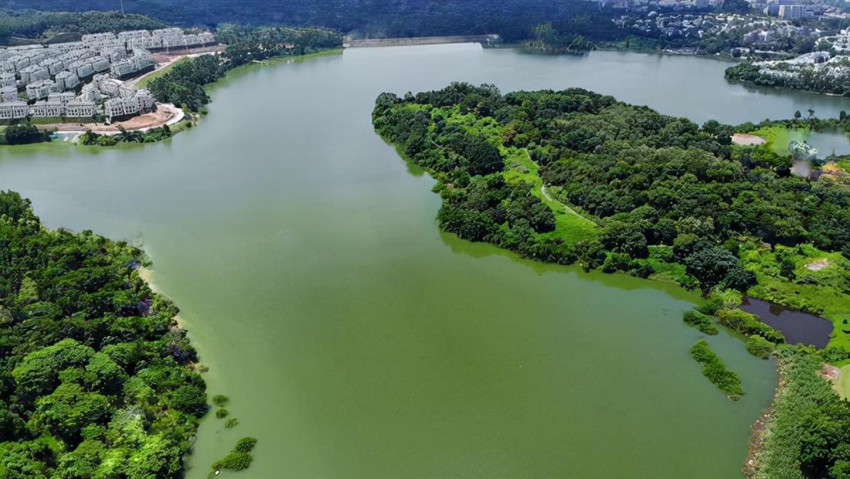 金地香山湖最新楼价及市场趋势深度解读