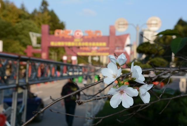 缙云新区规划图揭晓，城市新篇章启幕