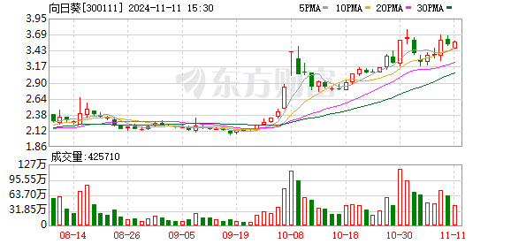 向日葵股票最新消息深度解读与分析